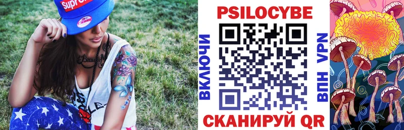 darknet официальный сайт  Сасово  Галлюциногенные грибы Cubensis  наркота 